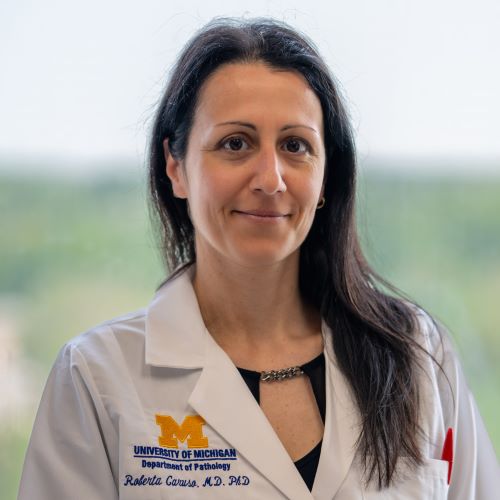 The Mediterranean, Motherhood, and Microbiology